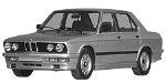 BMW E28 U254U Fault Code